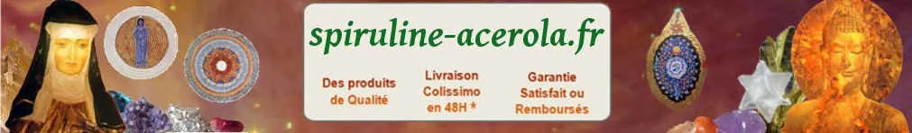 ALANIESSE LAURENT logo