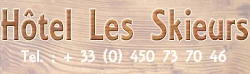 HOTEL DES SKIEURS logo