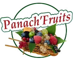 PANACH'FRUITS logo