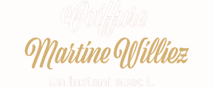 WILLIEZ MARTINE logo