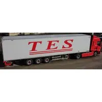 TRANSPORTS EDMOND SIMON logo
