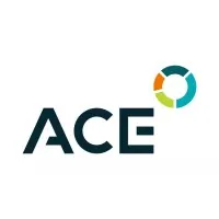 AUDIT ET CONSEILS AUX ENTREPRISES logo