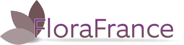 BAILLY DURAND SARL (FLOREAL) logo