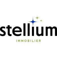 Voici le logo de la marque STELLIUM IMMOBILIER qui représente son identité graphique.