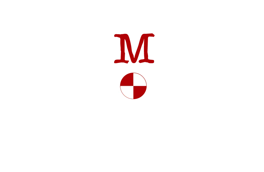 MEDIATECHNIQUES logo