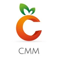 CMM CONSULTING logo