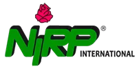 NIRP INTERNATIONAL LES ROSES DU SUCCES
