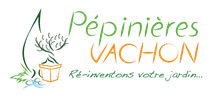 VACHON logo