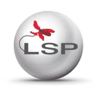 LSP GROUPE logo