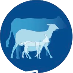 DAFFINI SARL logo