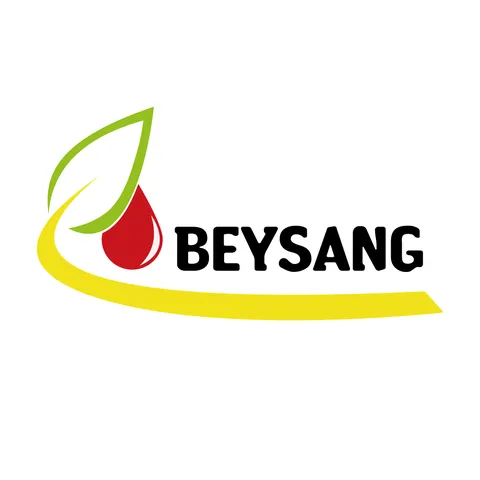 BEYSANG ENERGIES