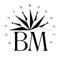 SOCIETE DU BOTTIN MONDAIN logo