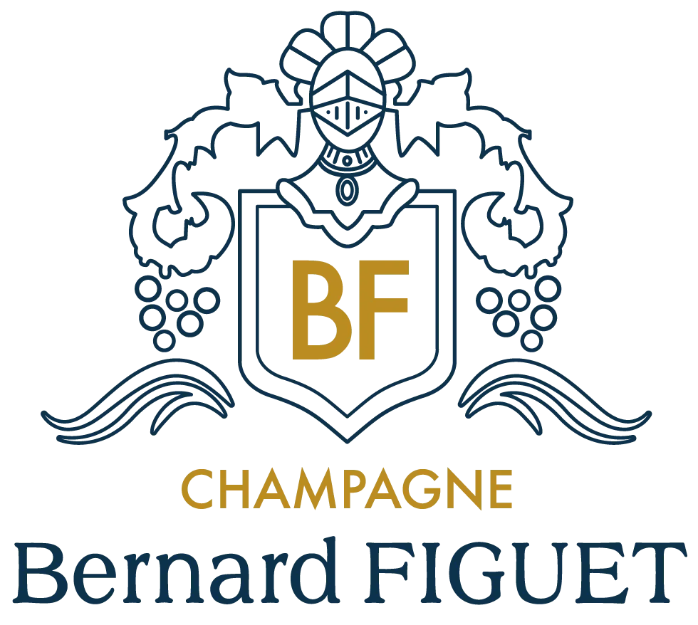 SCEV BERNARD ET ERIC FIGUET logo
