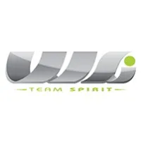 WORLD SUPPLY INFORMATIQUE (WSI) logo