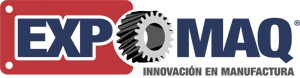 B.V. SYSTEMES logo