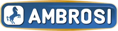 AMBROSI FRANCE logo