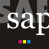 SAONE APPLICATION PEINTURE (SAP) logo