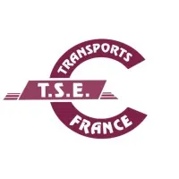 Voici le logo de la marque T S E FRANCE qui représente son identité graphique.