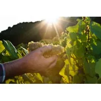 DOMAINE POIRON DABIN logo
