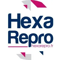 HEXA REPRO (COPIE BOUTIQUE) logo