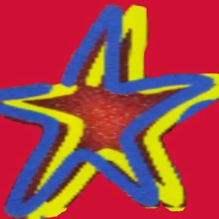 SOCIETE D'AMEUBLEMENT DES INDIES OCCIDENTALES logo