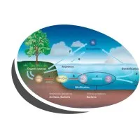 EOSYS logo