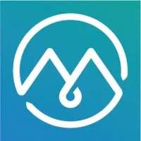 IDM logo
