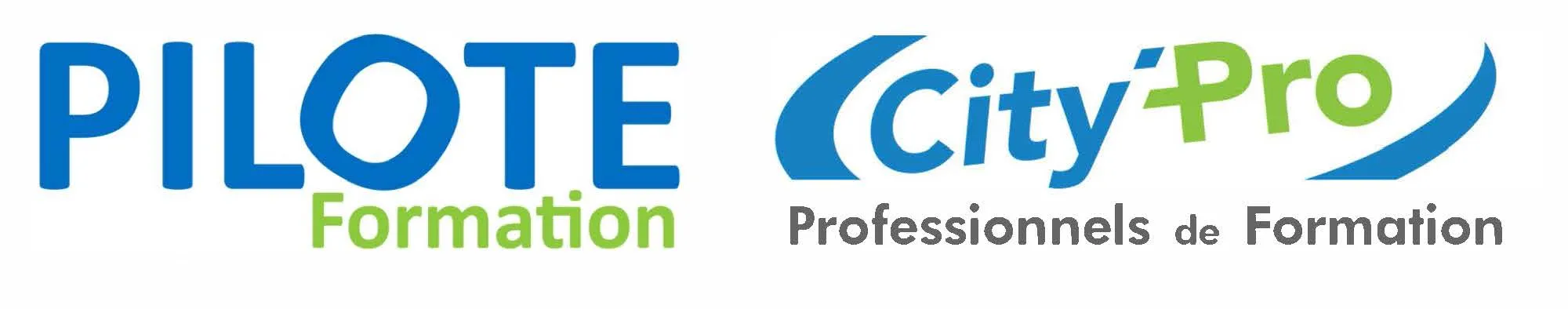 PILOTE FORMATION CAP-SUD (AUTO-ECOLE PILOTE) logo