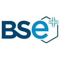 BRUNO SCHERER ENTREPRISE logo