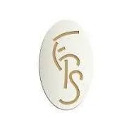 FRANCE PRESTIGE SERVICES logo