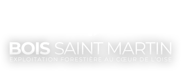 BOIS ST MARTIN L logo