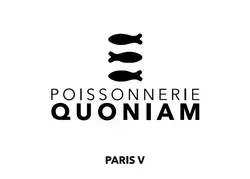 SOFAQUO logo