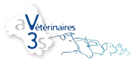 AV3S logo