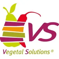 Voici le logo de la marque V.S DISTRIBUTION qui représente son identité graphique.