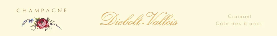 SARL DIEBOLT VALLOIS logo