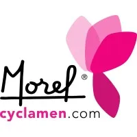 Voici le logo de la marque MOREL DIFFUSION qui représente son identité graphique.