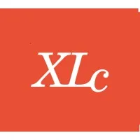 XL CONSEIL logo