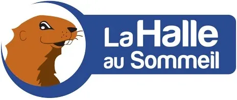 LITERIE BAZAR SERVICES DIFFUSION logo