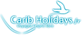 TEAM ORGANISATION logo