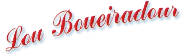 CHEVAL NATHALIE (LOU BOUEIRADOUR) logo