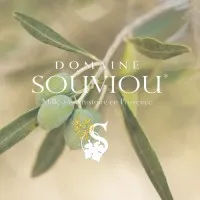 DOMAINE DE SOUVIOU logo