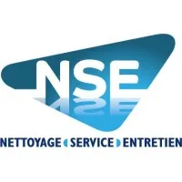 NSE logo