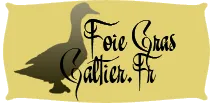 GALTIER RICHARD (RICHARD ET NATHALIE GALTIER) logo