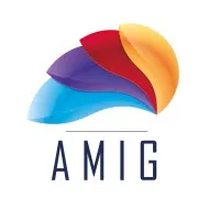 AMIG logo
