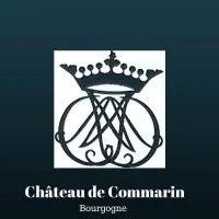GFA DE SOLLE COMMARIN logo