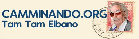 CAMMINANDO logo