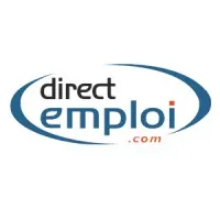 DIRECT EMPLOI-DIRECT PERFORMANCE logo