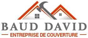 BAUD DAVID logo