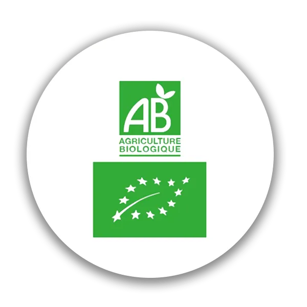 EARL DES VIGNOBLES TURTAUT logo