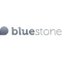 BLUESTONE GROUP logo